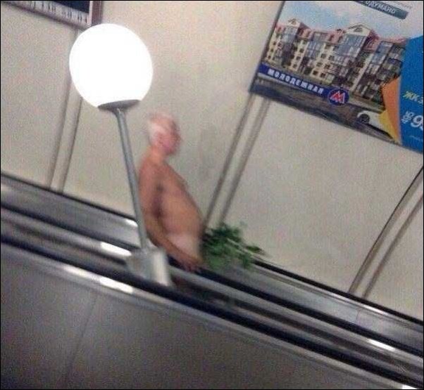 Незаурядный пассажир метро