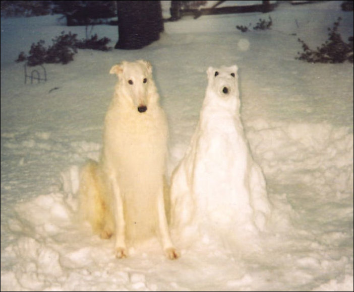 Снежные копии домашних животных