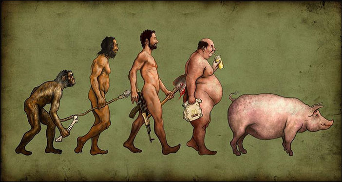 Эволюция Эволюция