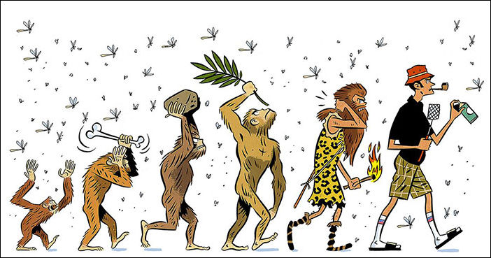 Эволюция Эволюция