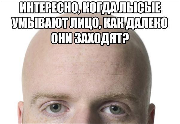 прикольные картинки прикольные картинки