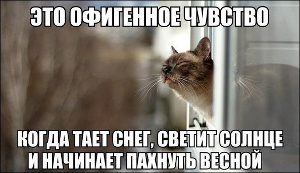 прикольные картинки прикольные картинки