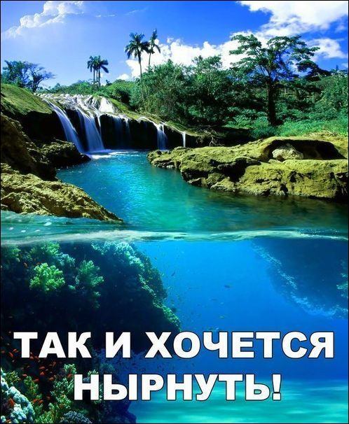 прикольные картинки прикольные картинки