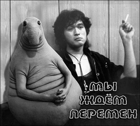 прикольные картинки прикольные картинки