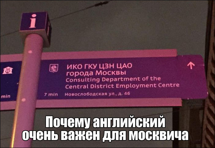 прикольные картинки прикольные картинки