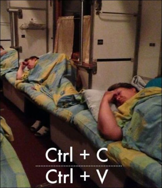 прикольные картинки прикольные картинки