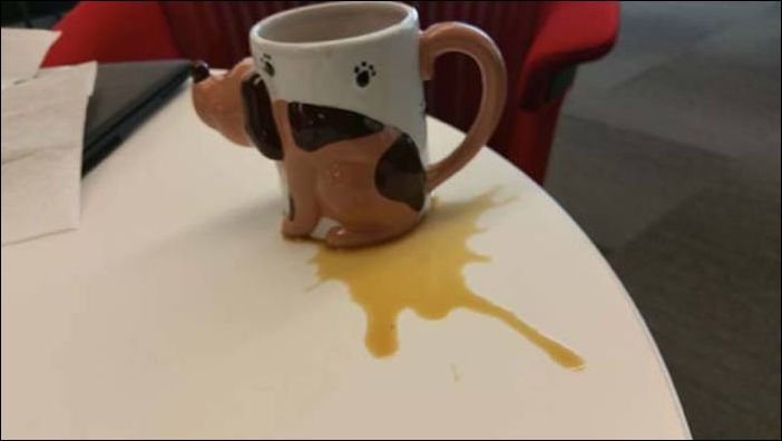 прикольные картинки прикольные картинки