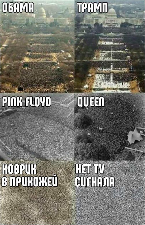 прикольные картинки прикольные картинки