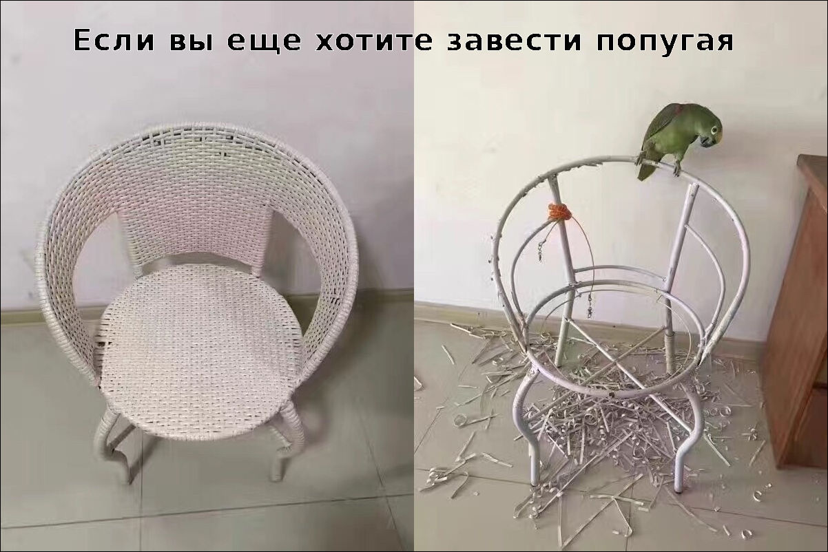 прикольные картинки прикольные картинки