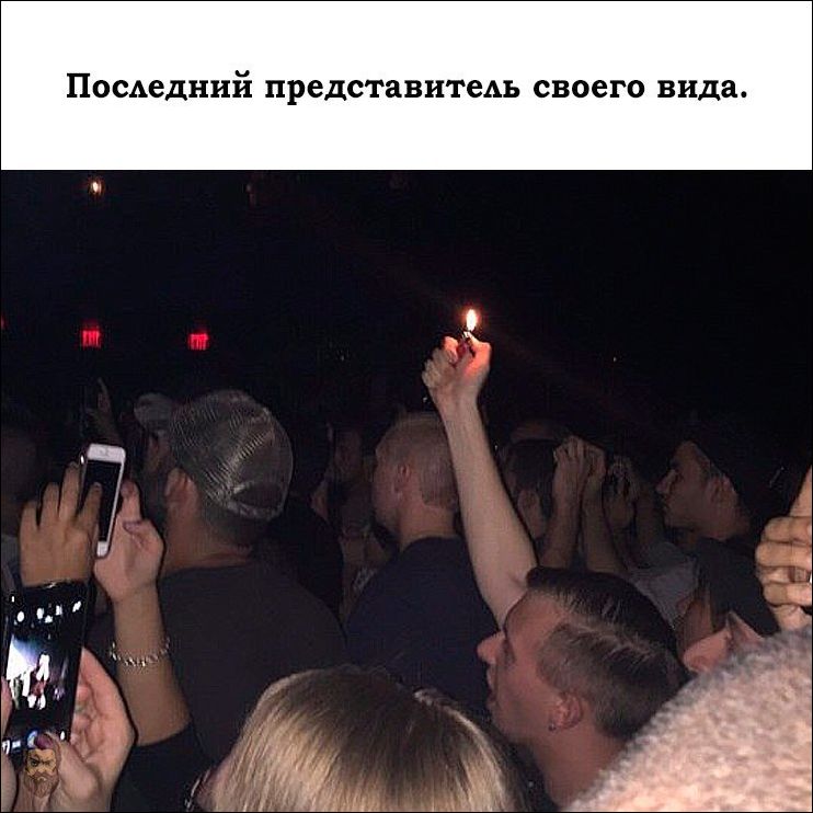 прикольные картинки прикольные картинки