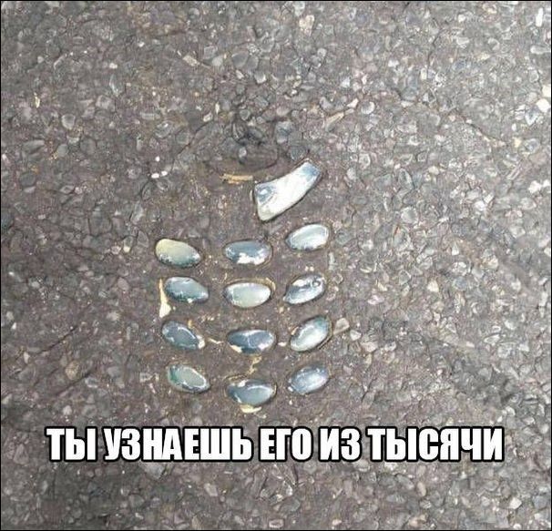 прикольные картинки прикольные картинки