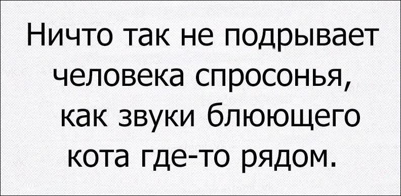 прикольные картинки прикольные картинки