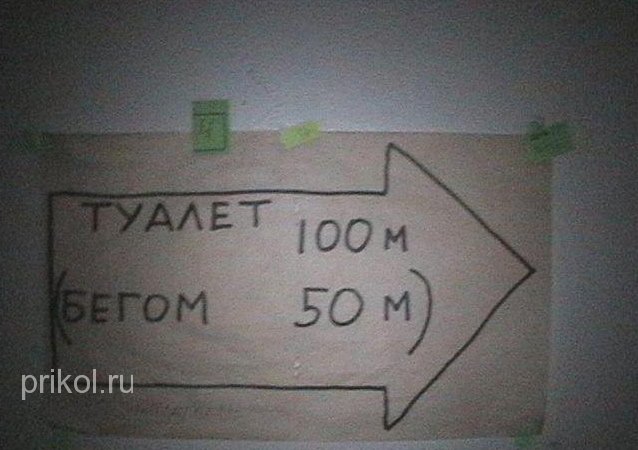 подборка фотографий