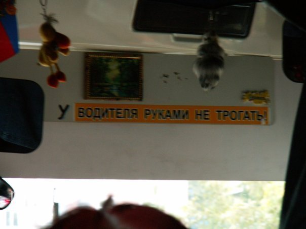 подборка фотографий