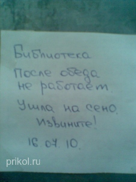 подборка фотографий