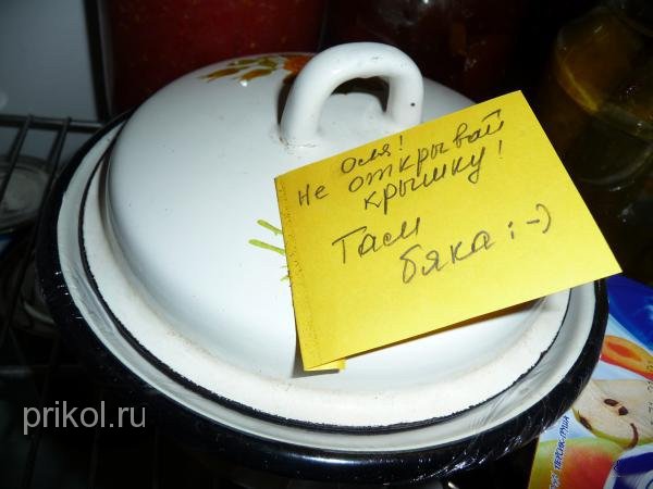 подборка фотографий