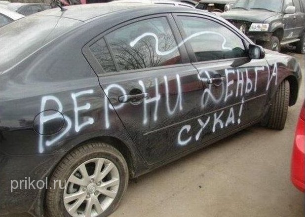 подборка фотографий