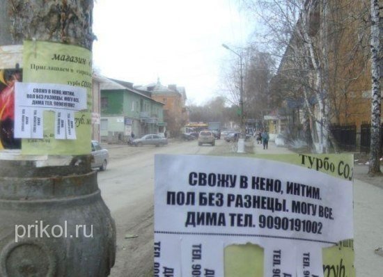 подборка фотографий