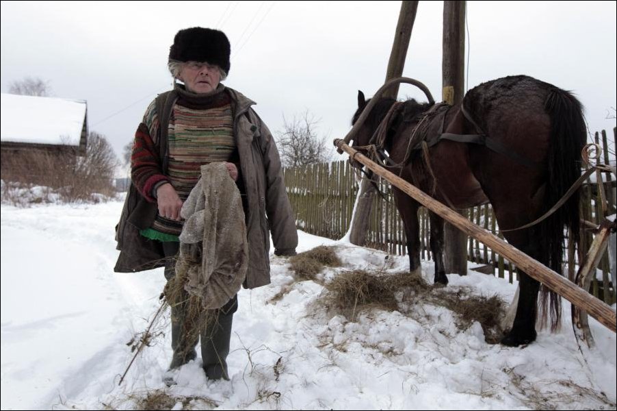 Жизнь в одиночестве Жизнь в одиночестве