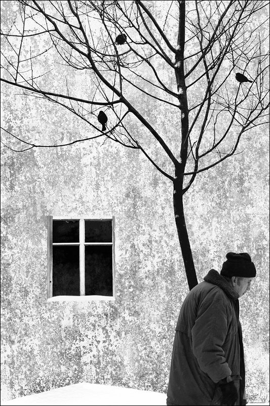 Россия в фотографиях Россия в фотографиях