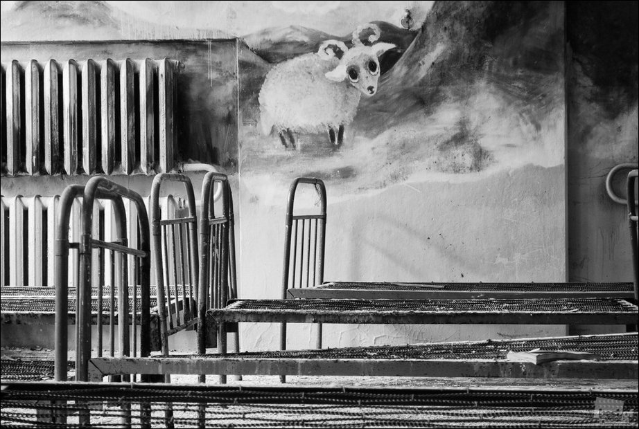 Россия в фотографиях Россия в фотографиях