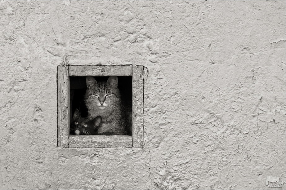 Россия в фотографиях Россия в фотографиях