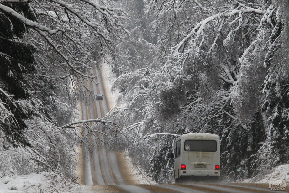 Россия в фотографиях Россия в фотографиях