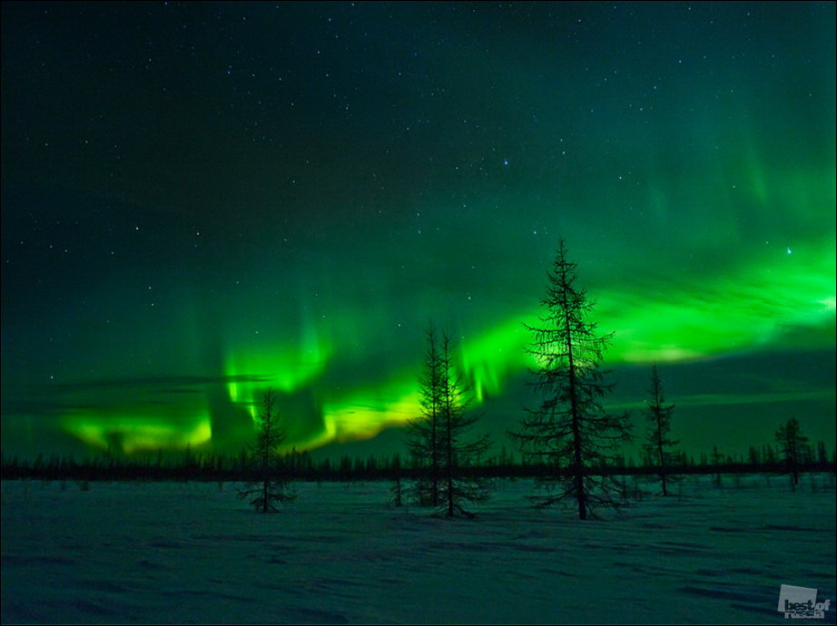 Россия в фотографиях Россия в фотографиях