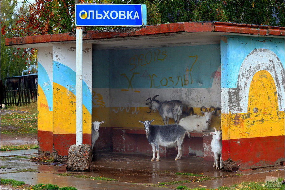 Россия в фотографиях Россия в фотографиях