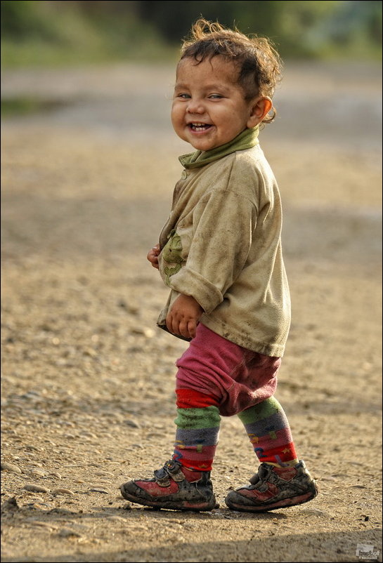 Россия в фотографиях Россия в фотографиях