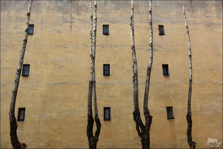 Россия в фотографиях Россия в фотографиях