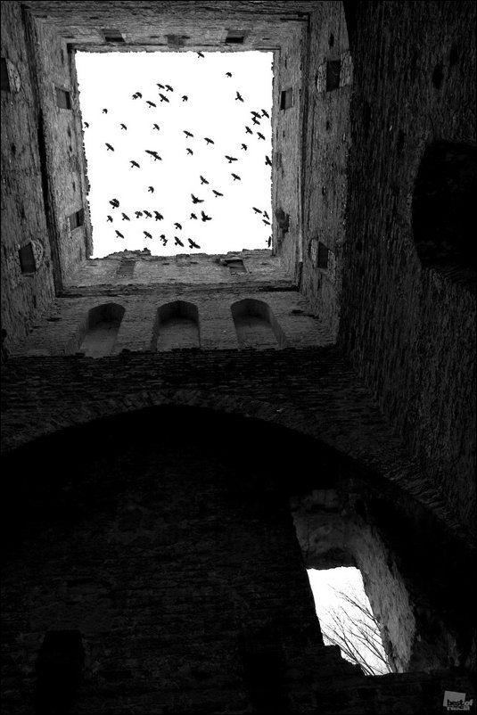 Россия в фотографиях Россия в фотографиях