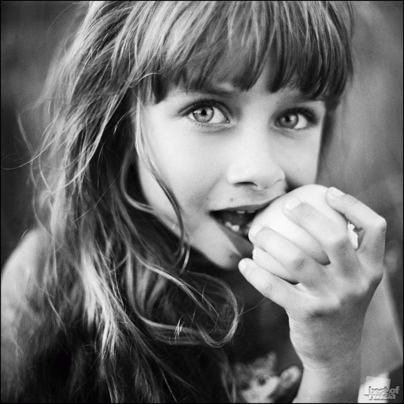 Россия в фотографиях Россия в фотографиях