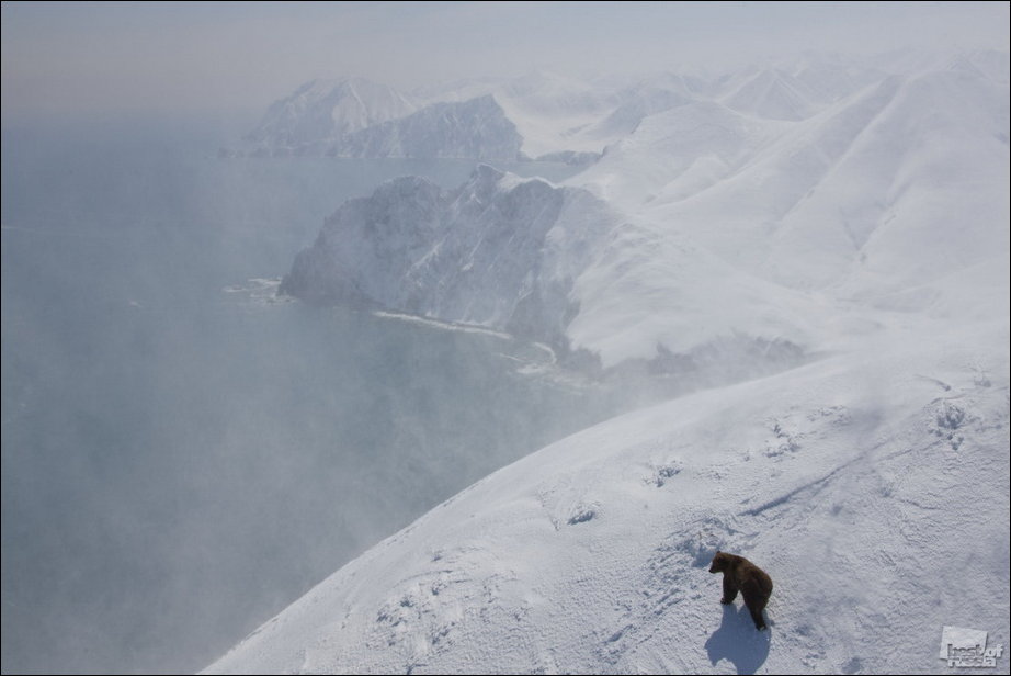 Россия в фотографиях Россия в фотографиях