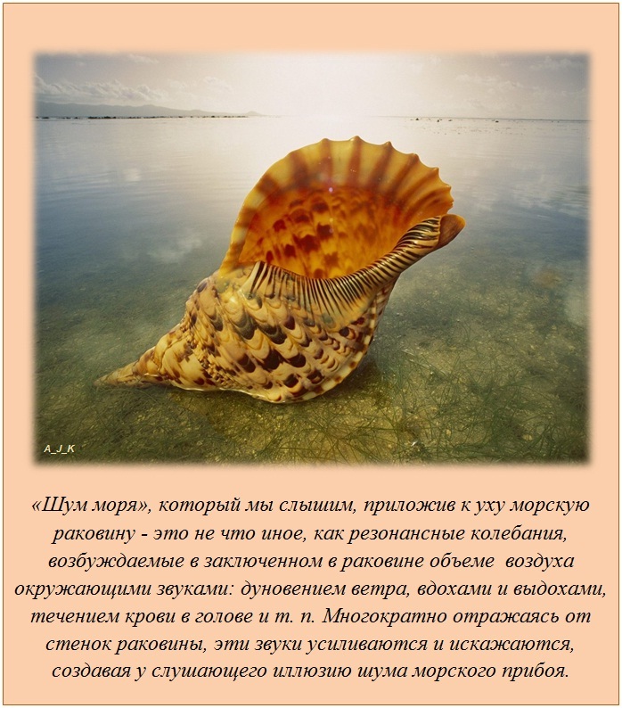 Интересные факты Интересные факты