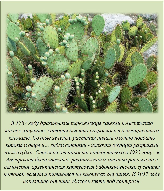 Интересные факты Интересные факты