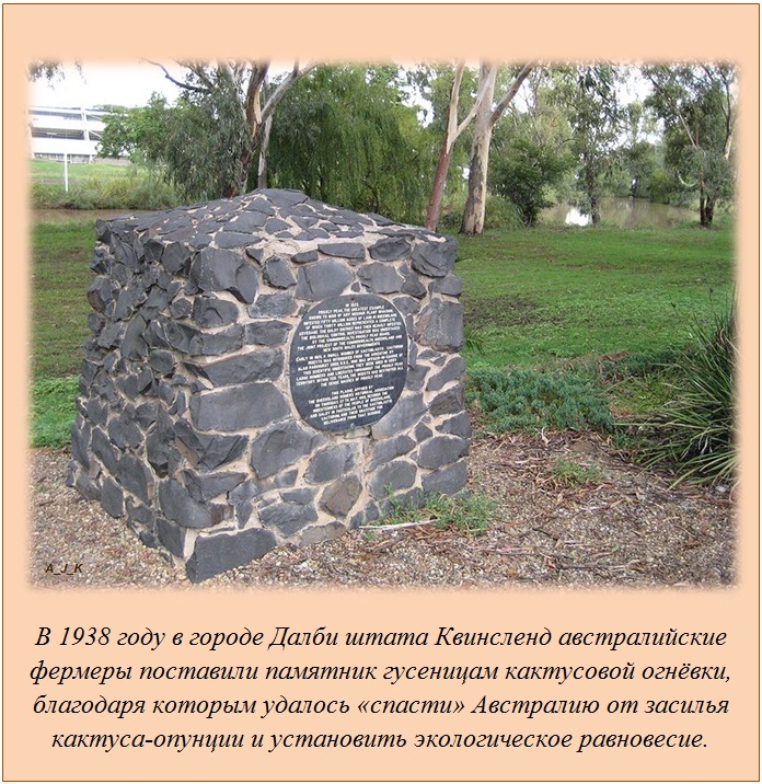 Интересные факты Интересные факты