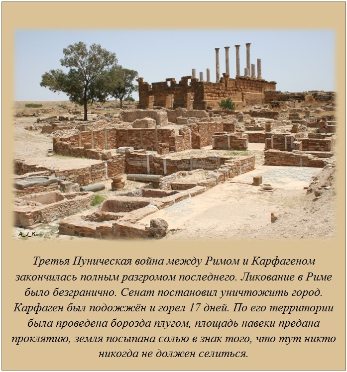 Интересные факты Интересные факты