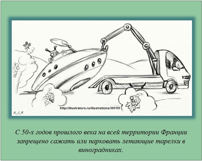 Интересные факты Интересные факты