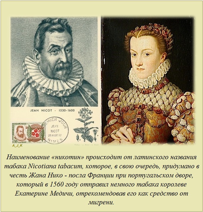 Интересные факты Интересные факты