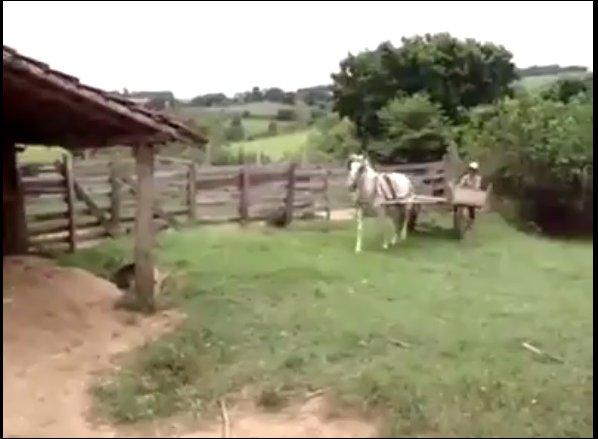 Лошадь паркует телегу