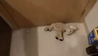 Прикольные гифки Прикольные гифки