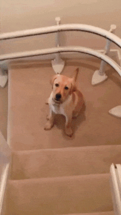 Прикольные гифки Прикольные гифки