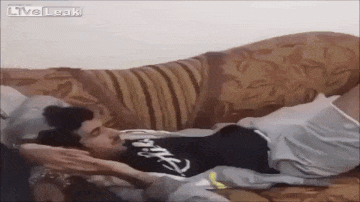 Прикольные гифки Прикольные гифки