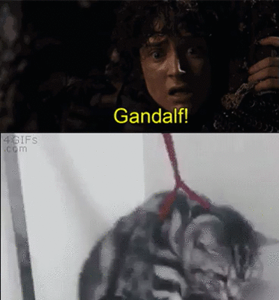 Прикольные гифки Прикольные гифки