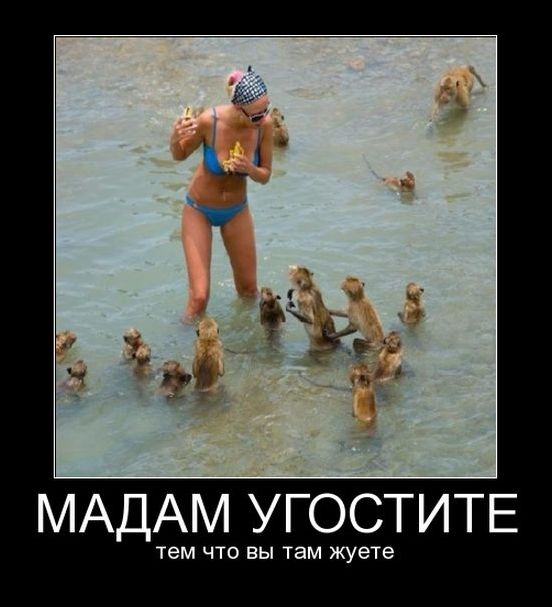 демотиваторы демотиваторы