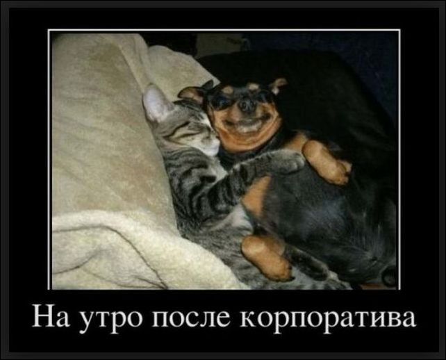 демотиваторы демотиваторы