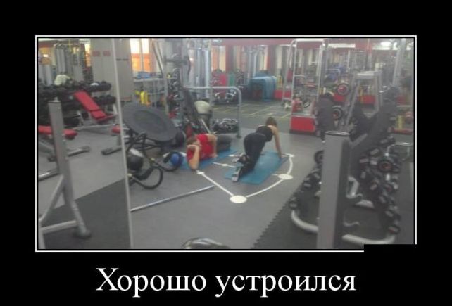 демотиваторы демотиваторы