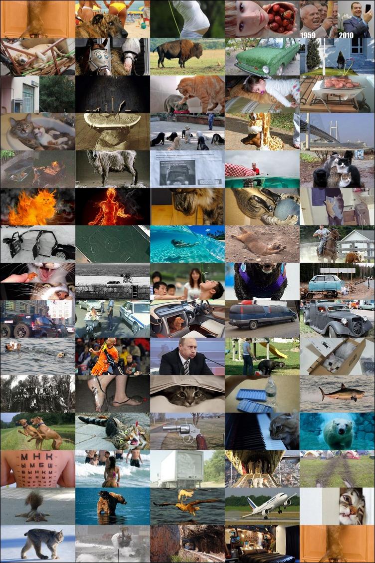 подборка фотографий