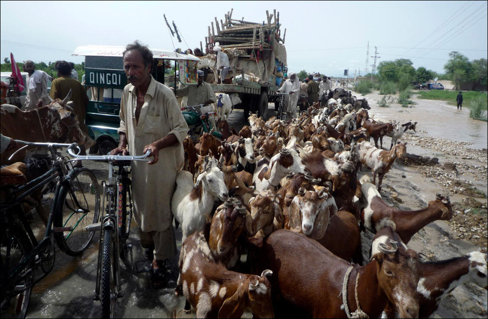 сильнейшее наводнение в Пакистане